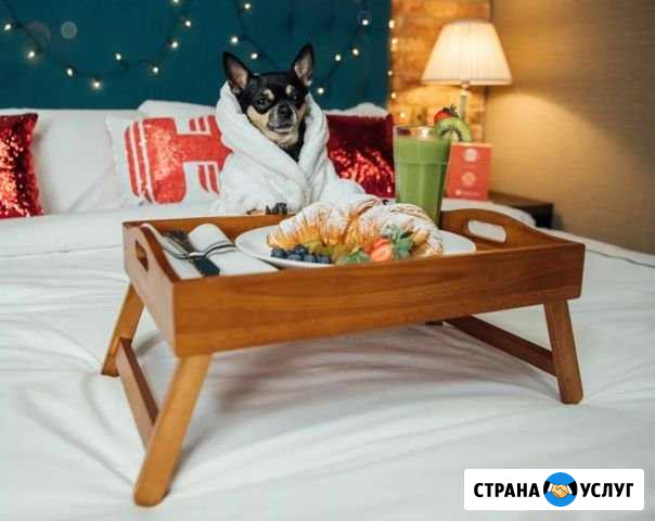 Гостиница для собак/Зоогостиница Красноярск - изображение 1