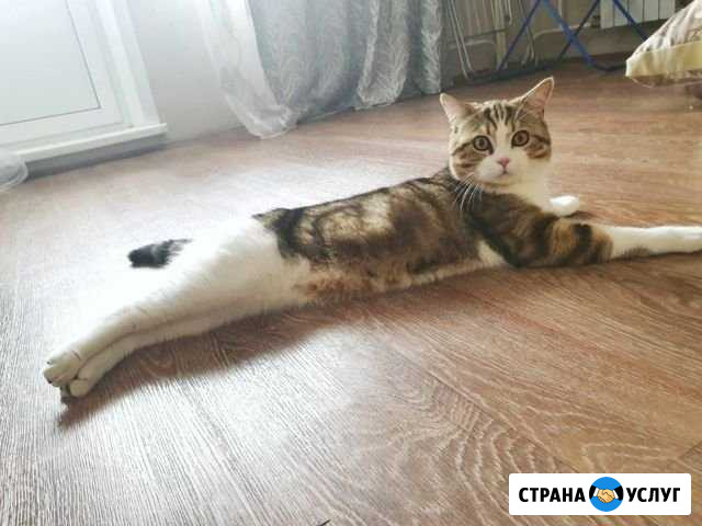 Вязка Красноярск - изображение 1