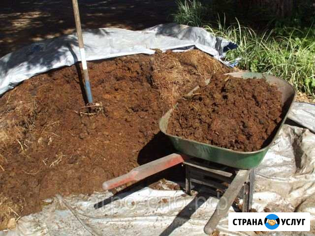 Перегнивший навоз Мамоново - изображение 1