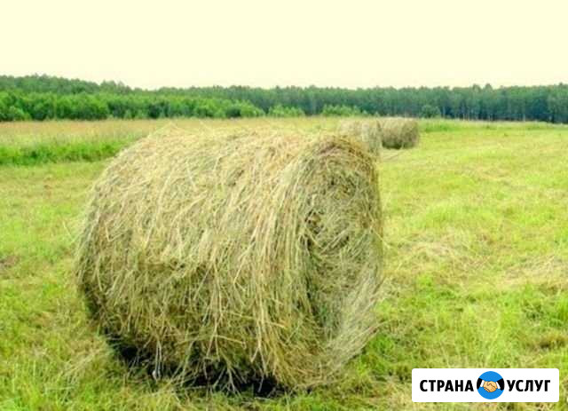 Тюкование, покос Чернянка - изображение 1