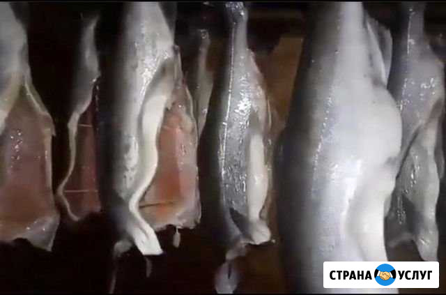 Коптим рыбу и мясо Уфа - изображение 1