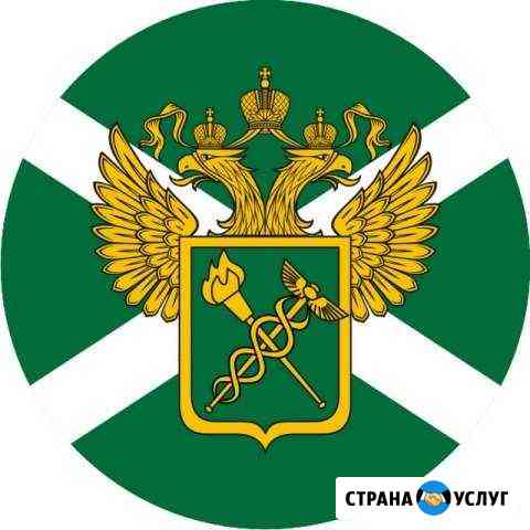 Таможенное оформление, экспедирование, перевозка Санкт-Петербург