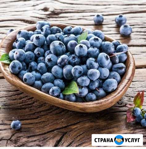 Продукты питания Дзержинск - изображение 1