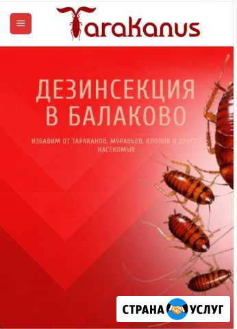Дезинсекция. Дезинфекция Балаково - изображение 1
