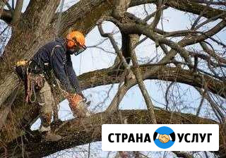 Покос травы сухостоя спил деревьев Белгород - изображение 1