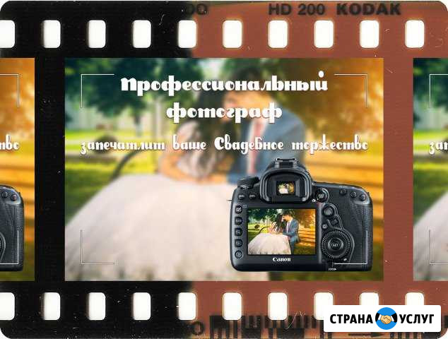 Профессиональный фотограф Киржач - изображение 1