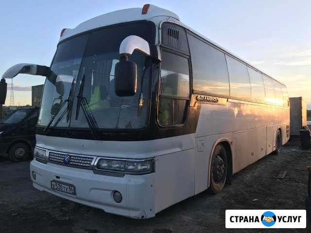 Аренда автобуса KIA granbird с водителем Екатеринбург - изображение 1