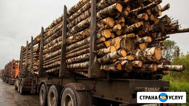 Дрова Судогда - изображение 1