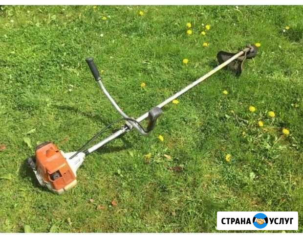 Покос травы, выезд за город Великий Новгород - изображение 1
