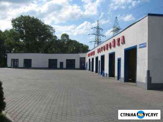 Ремонт легковых автомобилей и микроавтобусов Калининград