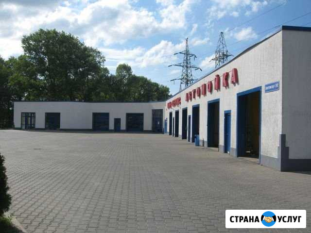 Ремонт легковых автомобилей и микроавтобусов Калининград - изображение 1