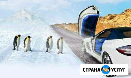 Заправка ремонт и обслуживание автокондиционеров Батайск - изображение 1