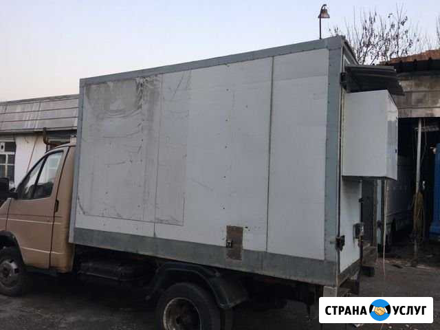 Прокат холодильника на мероприятие Владикавказ - изображение 1