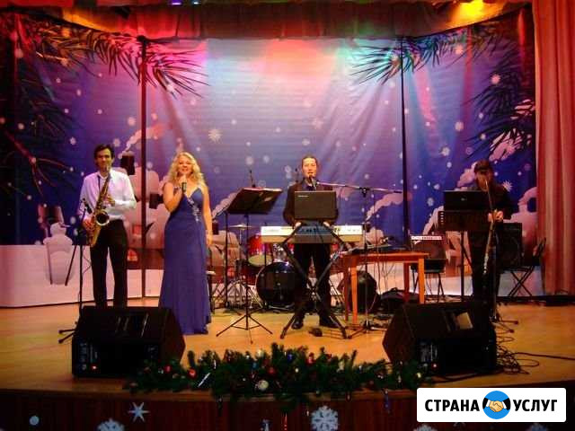 Музыканты на праздник Химки - изображение 1