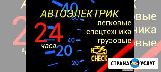Автоэлектрик возможен выезд Мичуринск - изображение 1