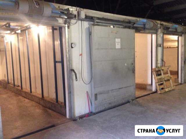 Заморозка Птица, Мясо, Рыба, Морепродукты Пермь - изображение 1