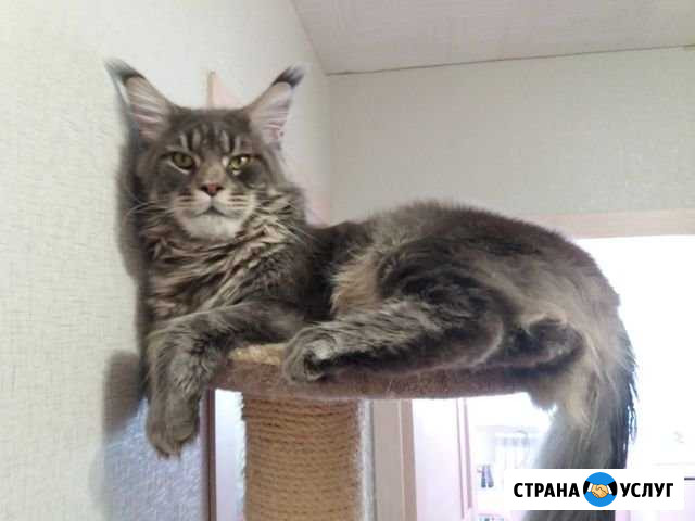 Вязка Омск - изображение 1