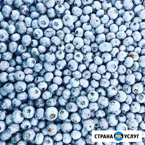 Доставка овощей и фруктов Казань - изображение 1