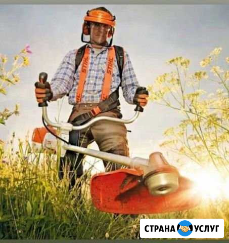 Покос травы триммером Белгород - изображение 1
