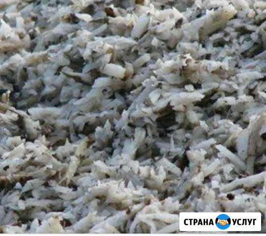 Жом свекловичный Двубратский - изображение 1