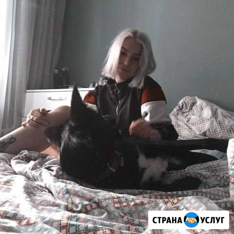 Передержка животных/ собак/ кошек/ догситтер Казань - изображение 1