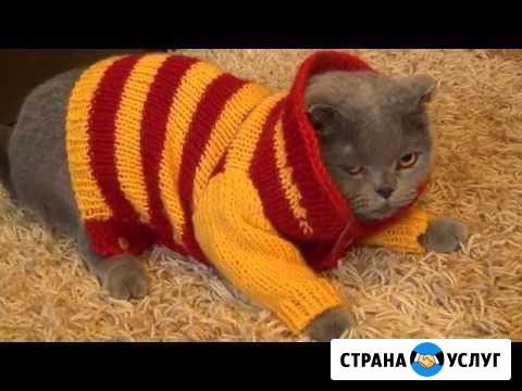Вязание спицами Нижний Новгород - изображение 1