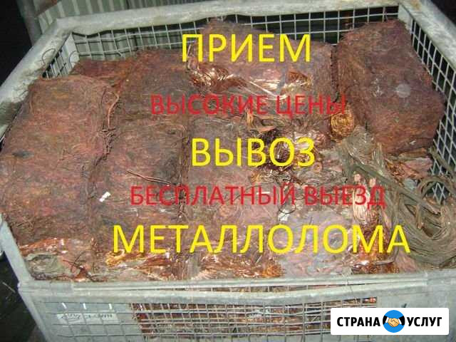 Прием, вывоз металлолома Калининград - изображение 1