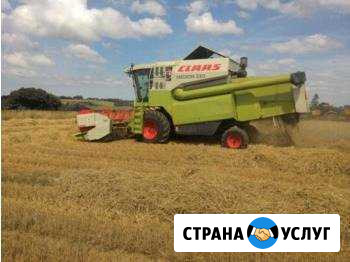 Уборка урожая зерноуборочными комбайнами Будённовск - изображение 1