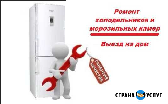Ремонт холодильников Воскресенское - изображение 1