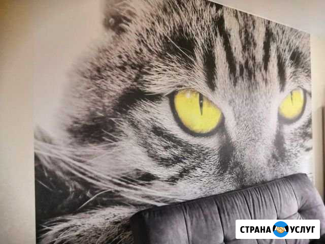 Ремонт квартир и нежилых помещений Йошкар-Ола - изображение 1