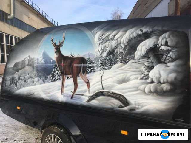 Аэрография Уфа - изображение 1