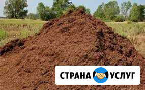 Перегной,Навоз, итд Малая Пурга - изображение 1