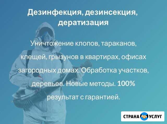 Санобработка от тараканов и клопов. Год гарантии Тольятти - изображение 1