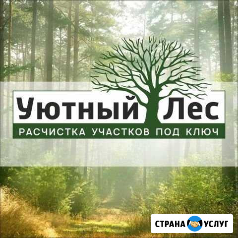 Расчистка участков, спил, чистка деревьев Иркутск - изображение 1