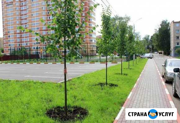 Благоустройство территории Челябинск - изображение 1