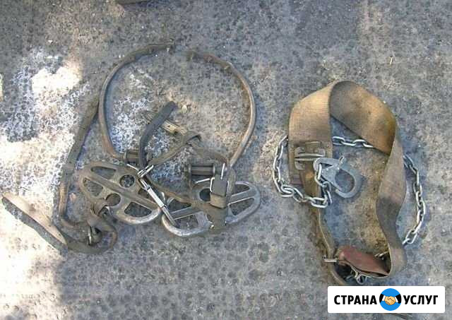 Аренда инструмента Соликамск - изображение 1