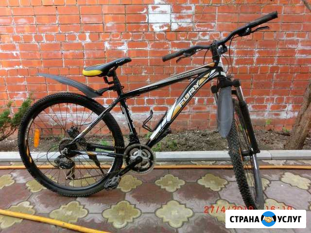 Велосипеды прокат Саратов - изображение 1