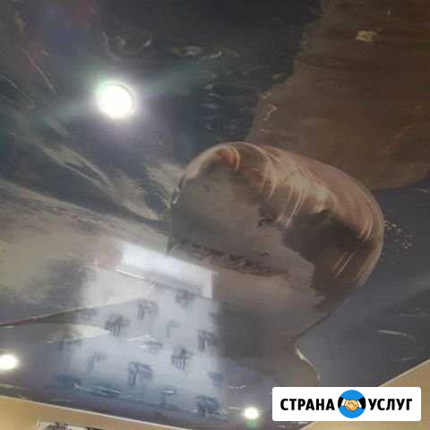 Натяжные Потолки Камские Поляны - изображение 1