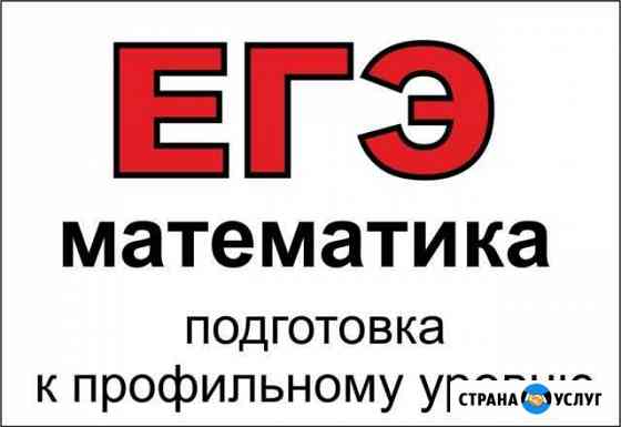 Математика. егэ профиль на 90+ Волгодонск