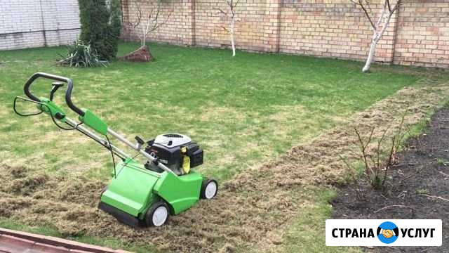 Обслуживание и уход за газоном Сургут - изображение 1