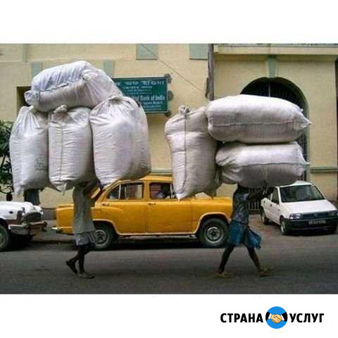 Грузчики, Разнорабочие, Транспорт Брянск - изображение 1