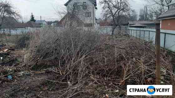 Покос травы, спил деревьев,расчистка участка Калининград