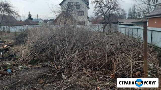 Покос травы, спил деревьев,расчистка участка Калининград - изображение 1