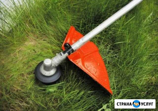 Скос травы Павлово - изображение 1