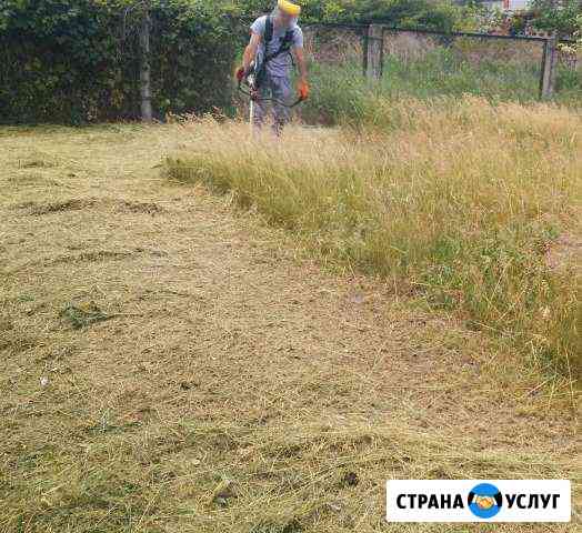 Покос травы, спил деревьев, уборка участка Ростов-на-Дону