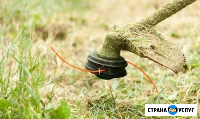 Покос травы триммером Канск - изображение 1