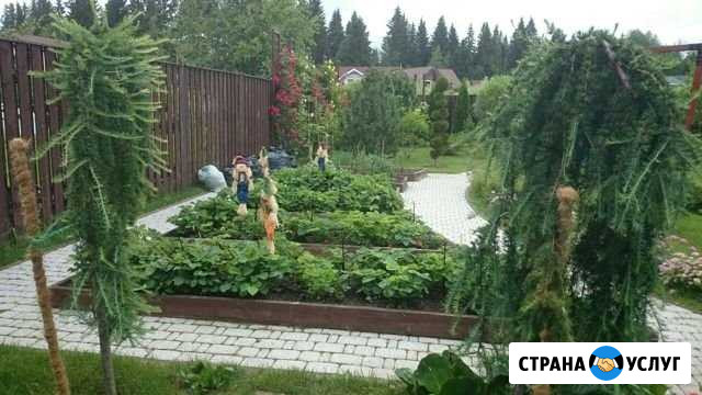Садовник Санкт-Петербург - изображение 1