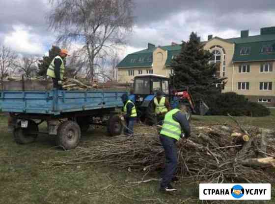 Уборка земельных участков Сальск