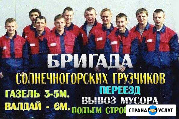 Грузчики Солнечногорск - изображение 1