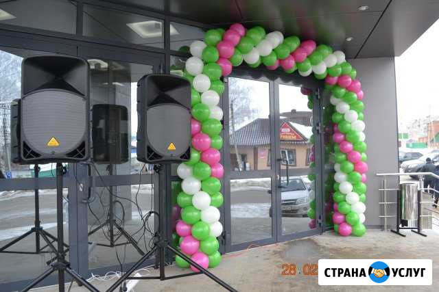 Ведущий, звук, диджей, колонки Набережные Челны - изображение 1